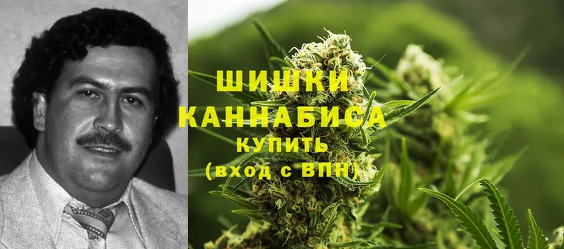 Шишки марихуана SATIVA & INDICA  ОМГ ОМГ зеркало  Котельниково 